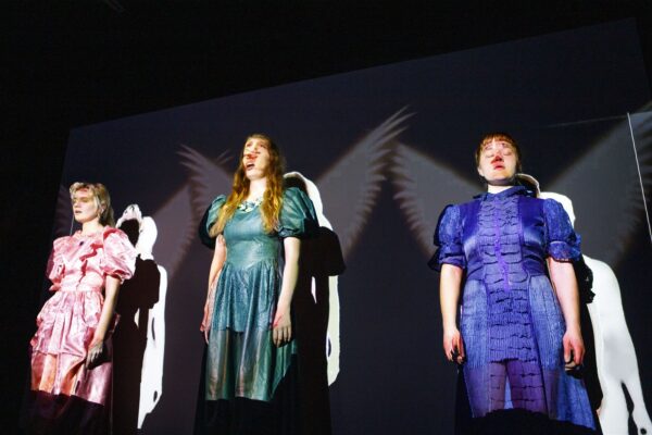 Koturnkroksid ja rohkemgi veel