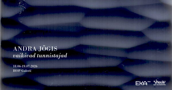 Andra Jõgise „Vaikivad tunnistajad“ Hop galeriis